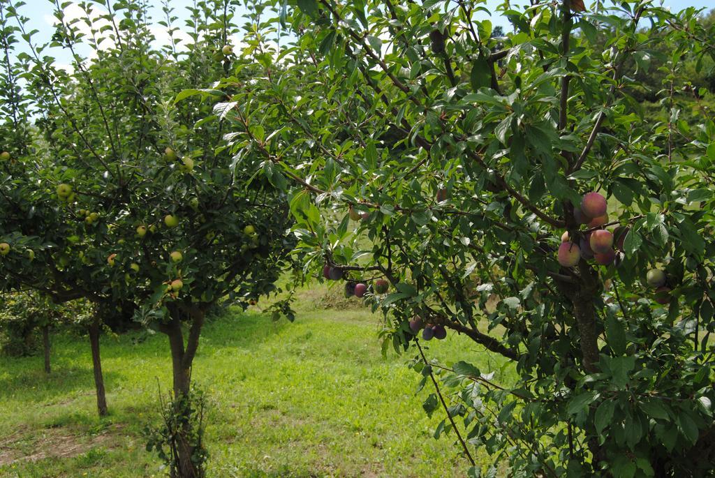 La Chiusuraccia Villa Barberino di Mugello Kültér fotó